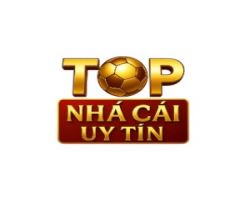 Ô tô & Xe Máy & Xe Đạp