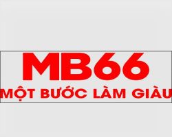 Chăm Sóc Thú Cưng