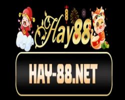 Thể Thao