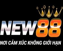 Dịch Vụ