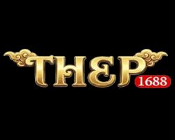 Ô tô & Xe Máy & Xe Đạp