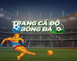 Bất Động Sản