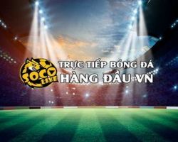 Sức Khỏe 